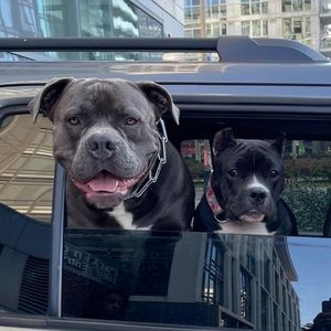 Meet your Posher, Kash